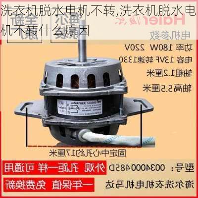 洗衣机脱水电机不转,洗衣机脱水电机不转什么原因