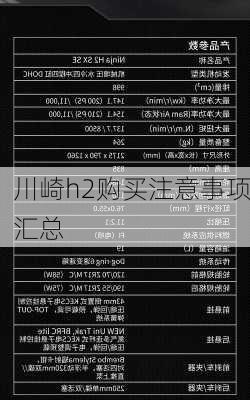川崎h2购买注意事项汇总