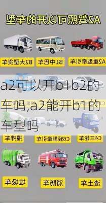 a2可以开b1b2的车吗,a2能开b1的车型吗