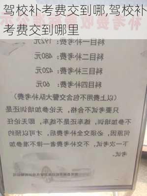驾校补考费交到哪,驾校补考费交到哪里
