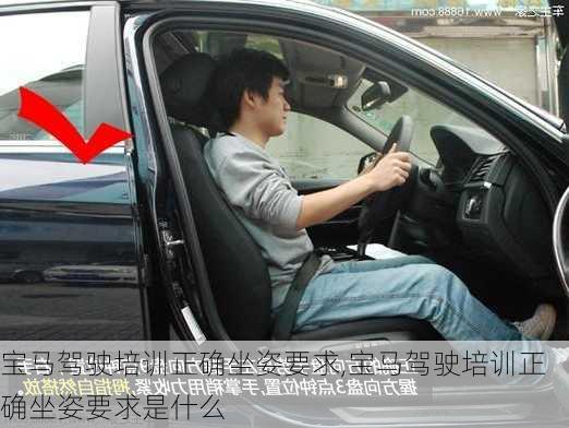 宝马驾驶培训正确坐姿要求,宝马驾驶培训正确坐姿要求是什么