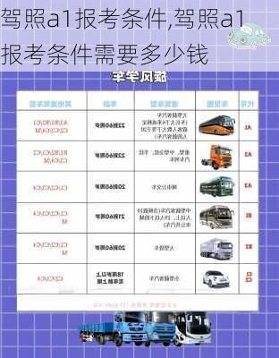 驾照a1报考条件,驾照a1报考条件需要多少钱
