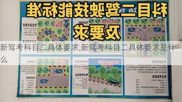 新驾考科目二具体要求,新驾考科目二具体要求是什么