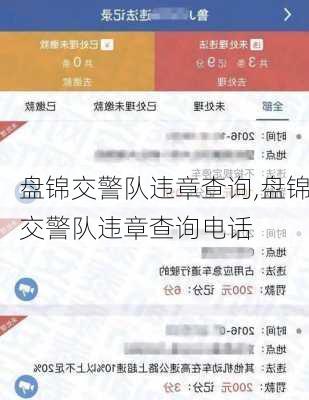 盘锦交警队违章查询,盘锦交警队违章查询电话