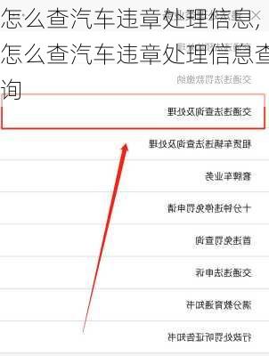 怎么查汽车违章处理信息,怎么查汽车违章处理信息查询