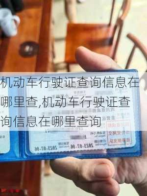 机动车行驶证查询信息在哪里查,机动车行驶证查询信息在哪里查询