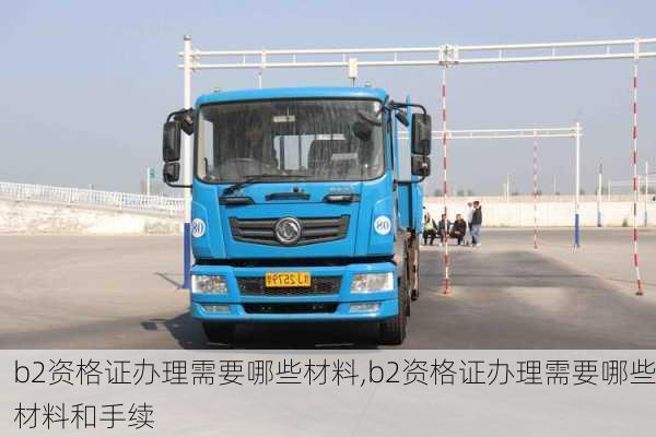 b2资格证办理需要哪些材料,b2资格证办理需要哪些材料和手续