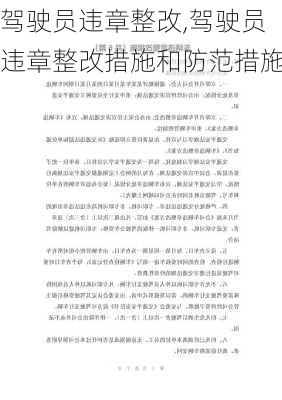 驾驶员违章整改,驾驶员违章整改措施和防范措施