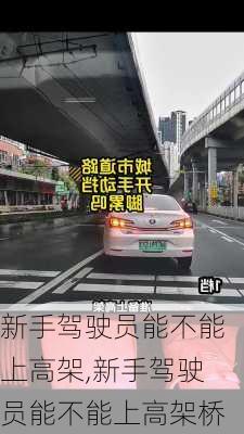 新手驾驶员能不能上高架,新手驾驶员能不能上高架桥