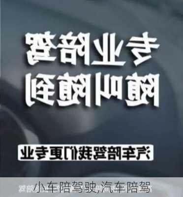 小车陪驾驶,汽车陪驾