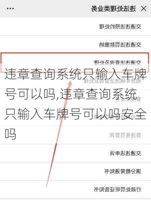 违章查询系统只输入车牌号可以吗,违章查询系统只输入车牌号可以吗安全吗