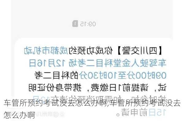 车管所预约考试没去怎么办啊,车管所预约考试没去怎么办啊