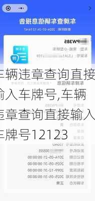 车辆违章查询直接输入车牌号,车辆违章查询直接输入车牌号12123