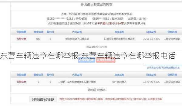 东营车辆违章在哪举报,东营车辆违章在哪举报电话