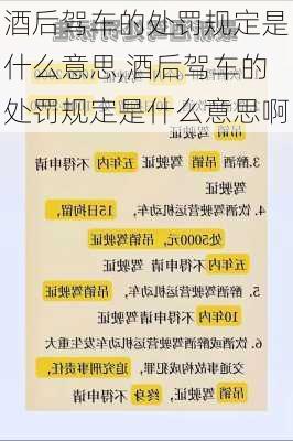 酒后驾车的处罚规定是什么意思,酒后驾车的处罚规定是什么意思啊