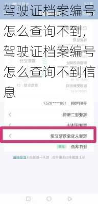 驾驶证档案编号怎么查询不到,驾驶证档案编号怎么查询不到信息