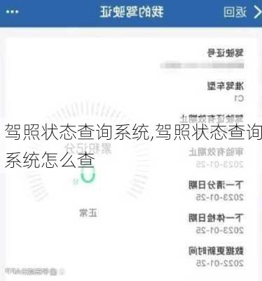 驾照状态查询系统,驾照状态查询系统怎么查