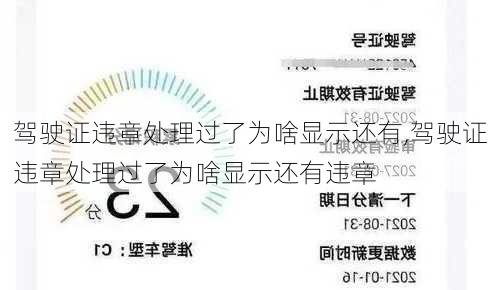 驾驶证违章处理过了为啥显示还有,驾驶证违章处理过了为啥显示还有违章