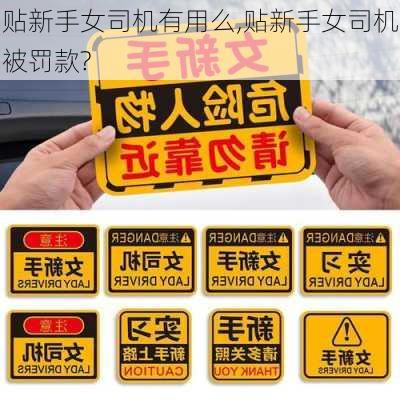 贴新手女司机有用么,贴新手女司机被罚款?