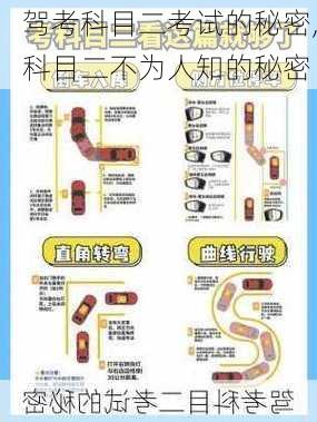 驾考科目二考试的秘密,科目二不为人知的秘密