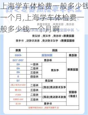 上海学车体检费一般多少钱一个月,上海学车体检费一般多少钱一个月啊