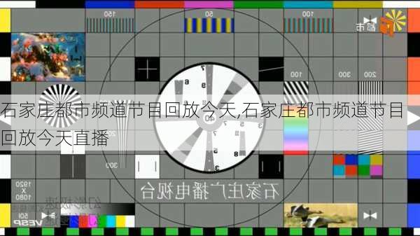 石家庄都市频道节目回放今天,石家庄都市频道节目回放今天直播