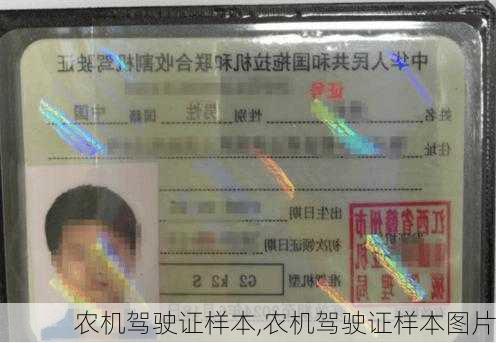 农机驾驶证样本,农机驾驶证样本图片