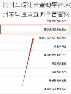 滨州车辆违章查询平台,滨州车辆违章查询平台官网