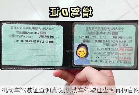 机动车驾驶证查询真伪,机动车驾驶证查询真伪官网