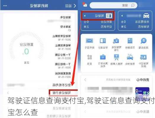 驾驶证信息查询支付宝,驾驶证信息查询支付宝怎么查