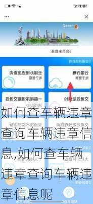 如何查车辆违章查询车辆违章信息,如何查车辆违章查询车辆违章信息呢