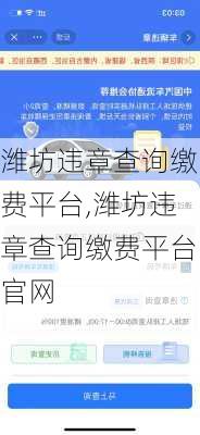 潍坊违章查询缴费平台,潍坊违章查询缴费平台官网