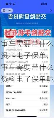 审车需要带什么资料电子保单,审车需要带什么资料电子保单呢