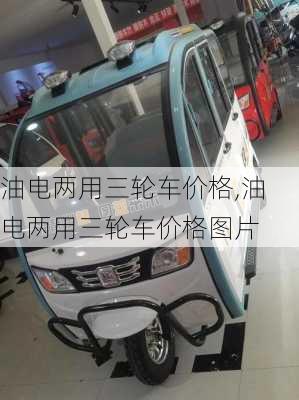油电两用三轮车价格,油电两用三轮车价格图片