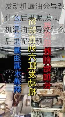 发动机漏油会导致什么后果呢,发动机漏油会导致什么后果呢视频