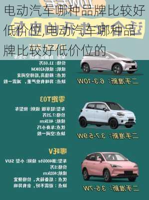 电动汽车哪种品牌比较好低价位,电动汽车哪种品牌比较好低价位的