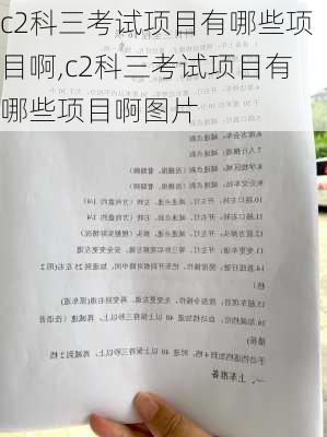 c2科三考试项目有哪些项目啊,c2科三考试项目有哪些项目啊图片