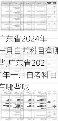 广东省2024年一月自考科目有哪些,广东省2024年一月自考科目有哪些呢