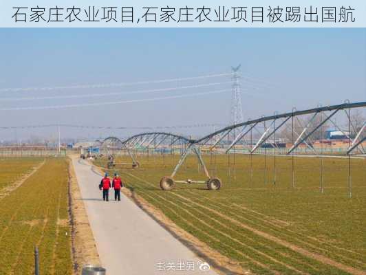 石家庄农业项目,石家庄农业项目被踢出国航