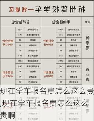 现在学车报名费怎么这么贵,现在学车报名费怎么这么贵啊