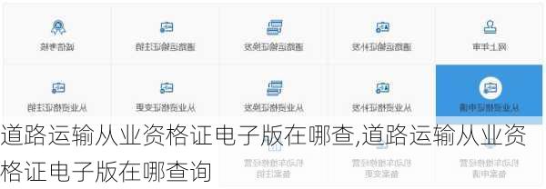 道路运输从业资格证电子版在哪查,道路运输从业资格证电子版在哪查询