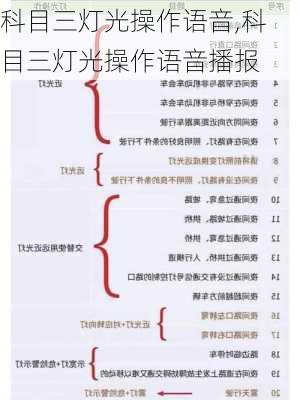 科目三灯光操作语音,科目三灯光操作语音播报