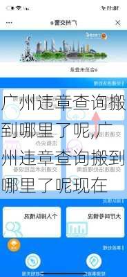 广州违章查询搬到哪里了呢,广州违章查询搬到哪里了呢现在