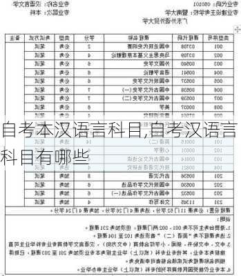 自考本汉语言科目,自考汉语言科目有哪些