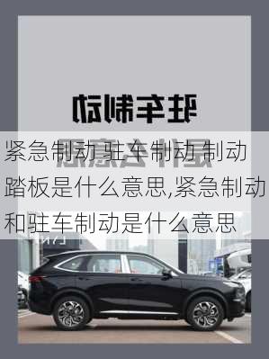 紧急制动 驻车制动 制动踏板是什么意思,紧急制动和驻车制动是什么意思