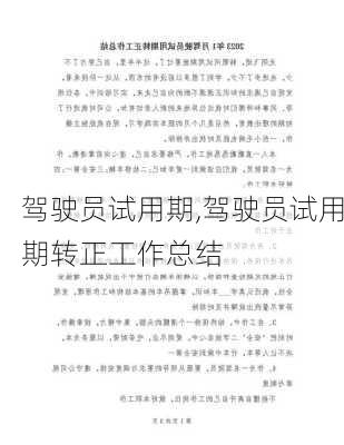 驾驶员试用期,驾驶员试用期转正工作总结