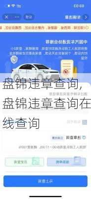 盘锦违章查询,盘锦违章查询在线查询