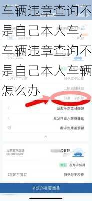 车辆违章查询不是自己本人车,车辆违章查询不是自己本人车辆怎么办