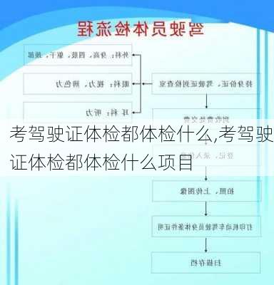 考驾驶证体检都体检什么,考驾驶证体检都体检什么项目