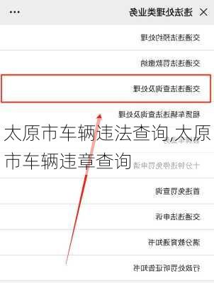太原市车辆违法查询,太原市车辆违章查询